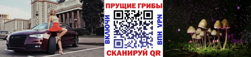 Купить где  Шацк  Галлюциногенные грибы ЛСД 